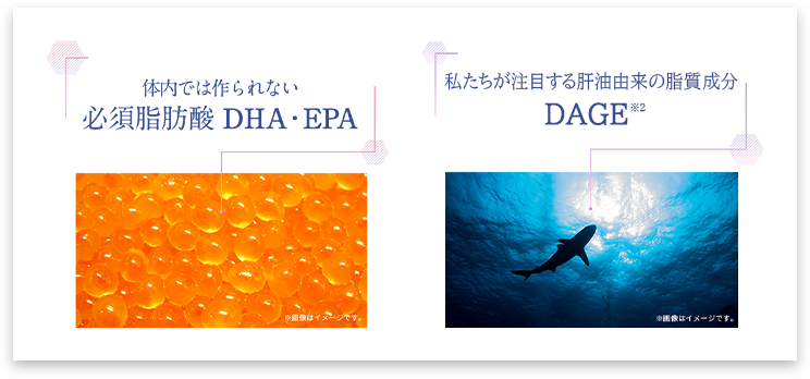体内では作られない 必須脂肪酸 DHA・EPA / 私たちが注目する肝油由来の脂質成分 DAGE