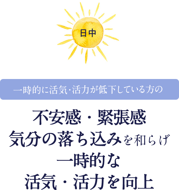 日中一時的に活気・活力が低下している方の不安感・緊張感気分の落ち込みを和らげ一時的な活気・活力を向上