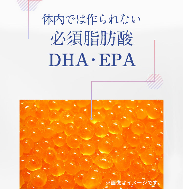 必須脂肪酸 DHA・EPA