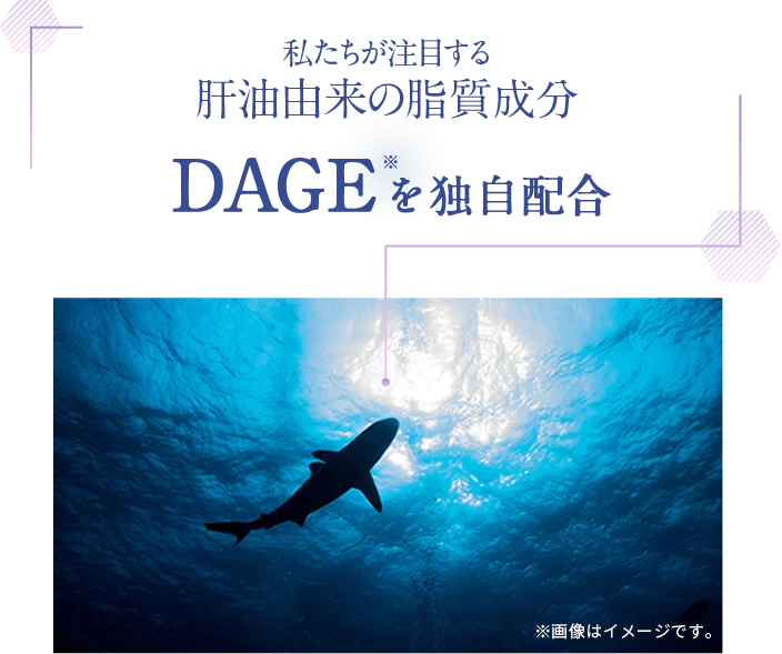私達が注目する深海サメ成分す